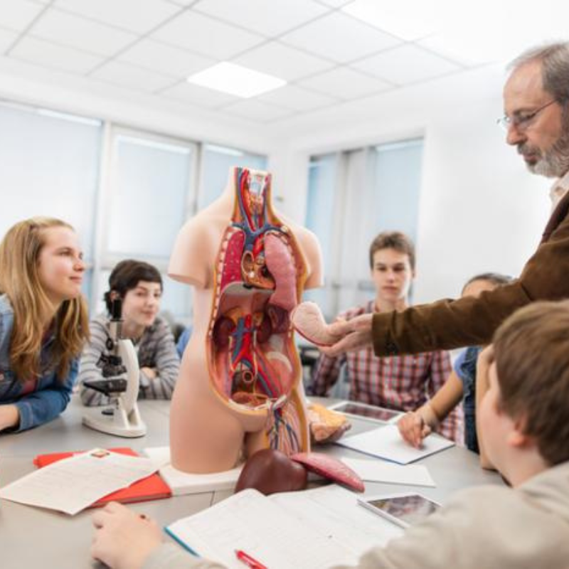 Anatomy & Physiology Department