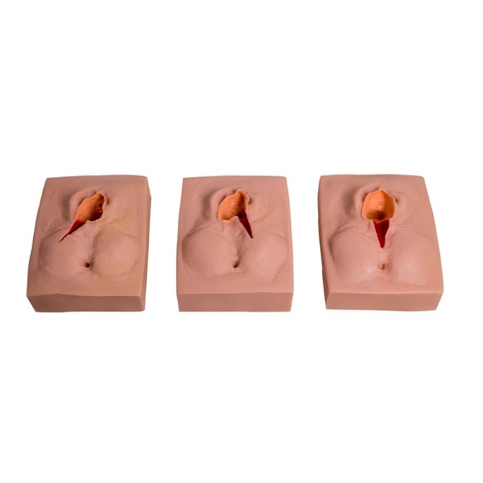 Vulva Suturing Training Simulator