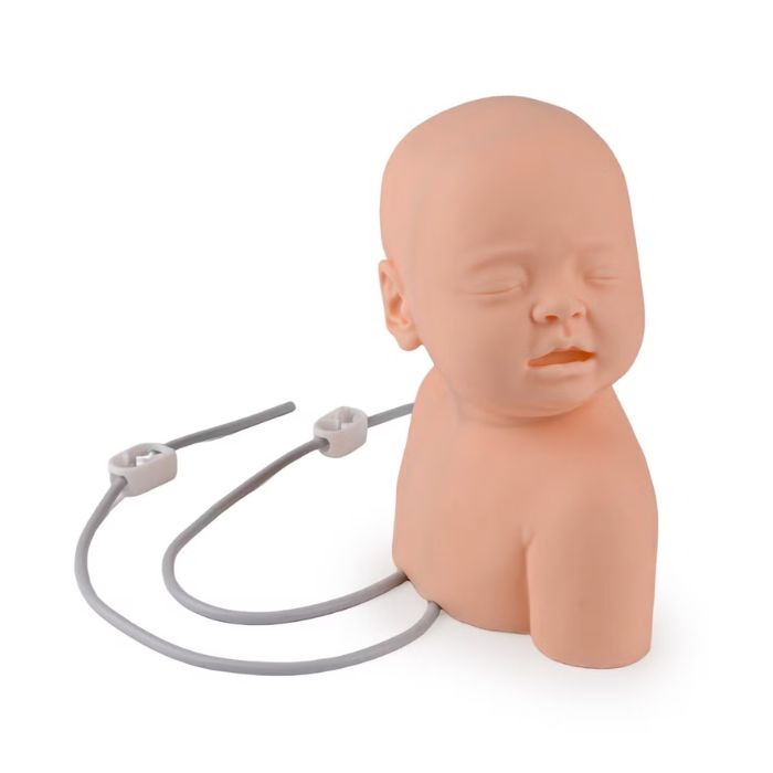 Neonate Scalp Venipuncture Simulator