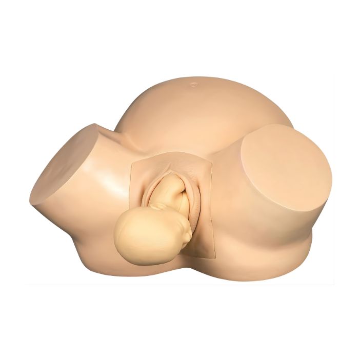 Vacuum Delivery Simulator