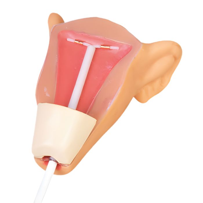 IUD Training Simulator