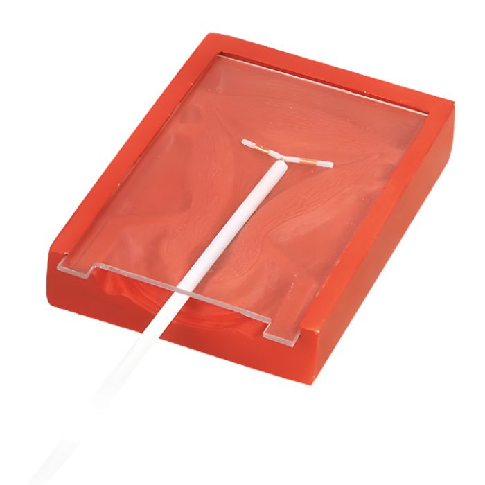 IUD Training Simulator
