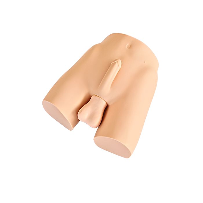 Vasoligation Training Simulator