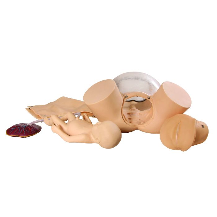 Childbirth Skills Training Simulator