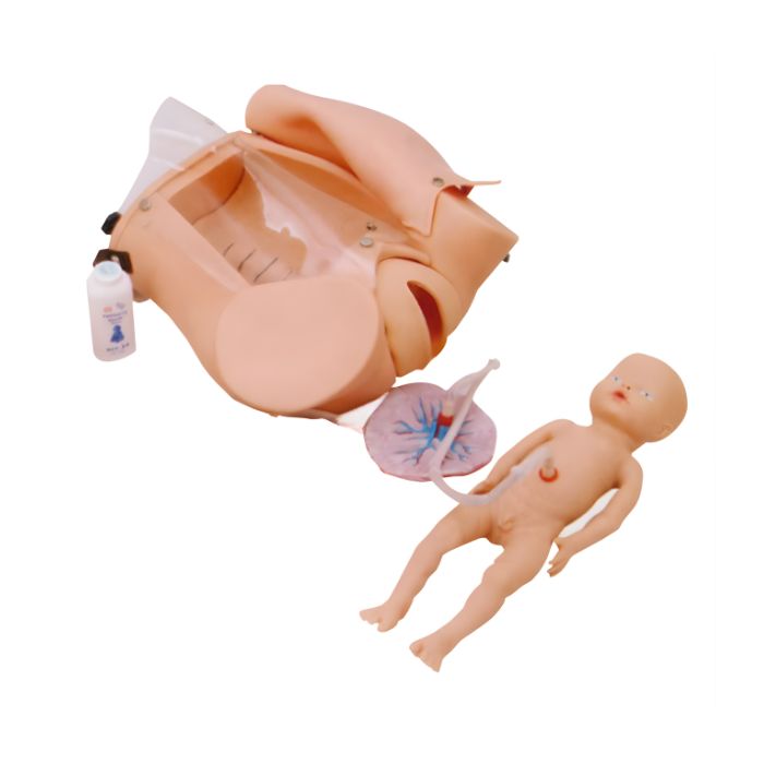 Advanced Delivery Mechanism Demonstration Simulator