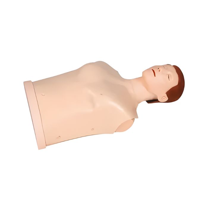 Half-body CPR Training Manikin