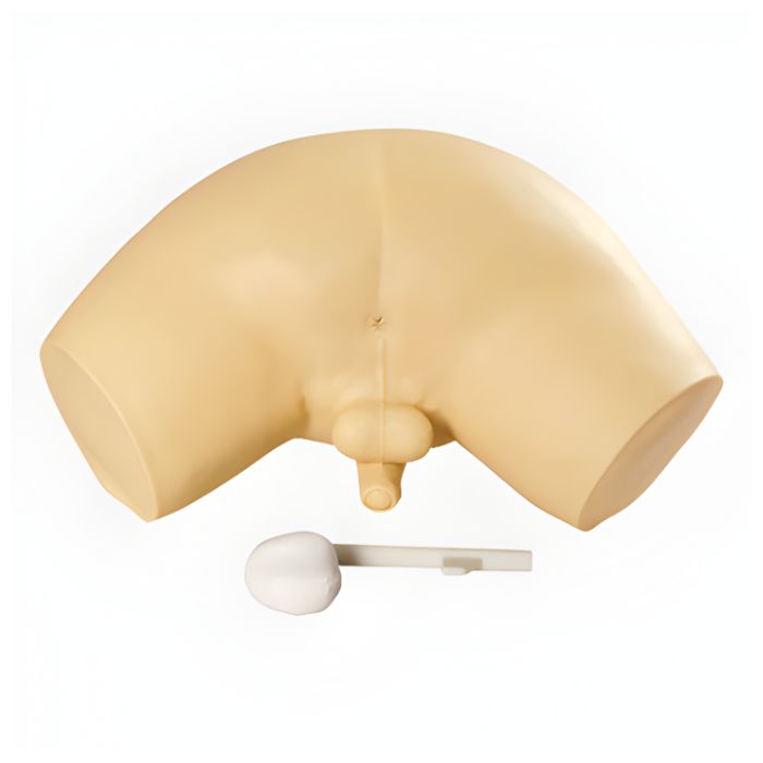 Prostate Examination Simulator