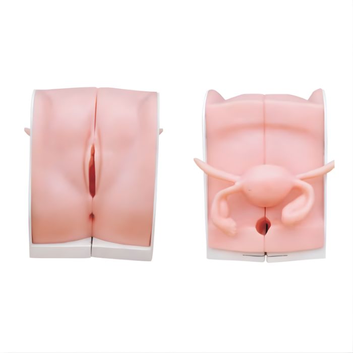 Contraception Guidance Model