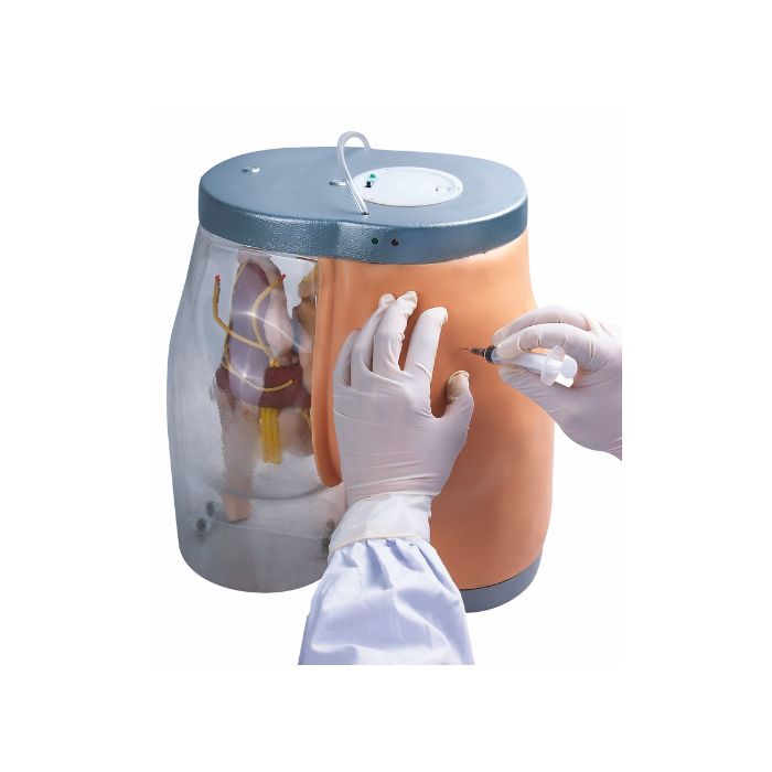 Transparent Contrastive Intramuscular Injection Buttocks