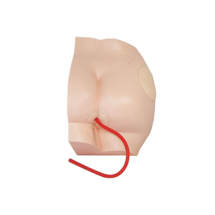 Buttock Injection Model