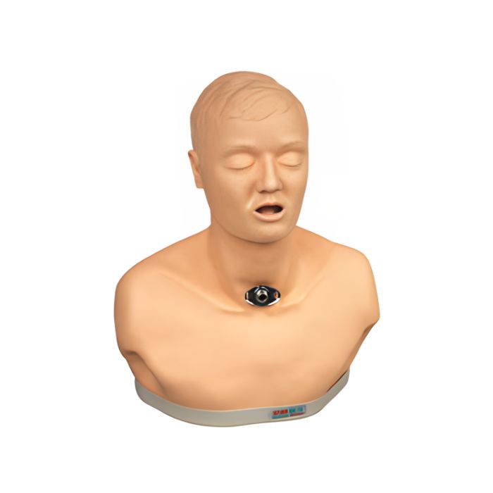 Adult Tracheotomy Care Simulator
