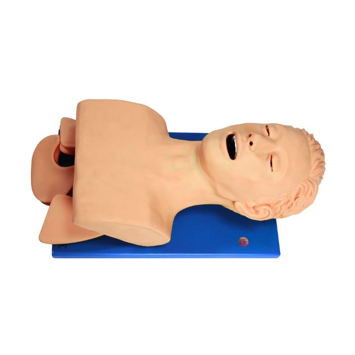 Electronic Tracheal Intubation Simulator