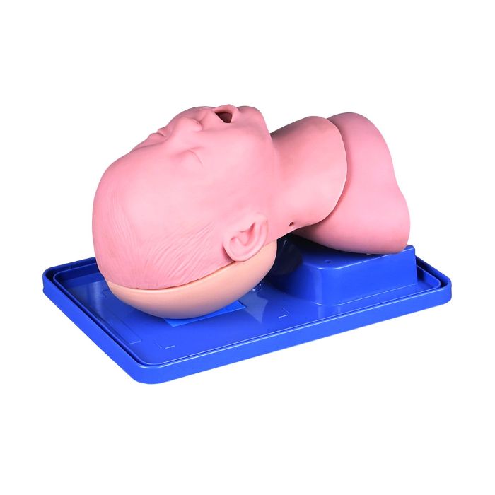 Infant Airway Management Model