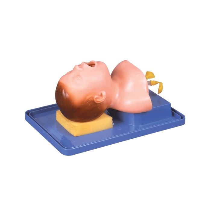 Neonate Intubation Training Model
