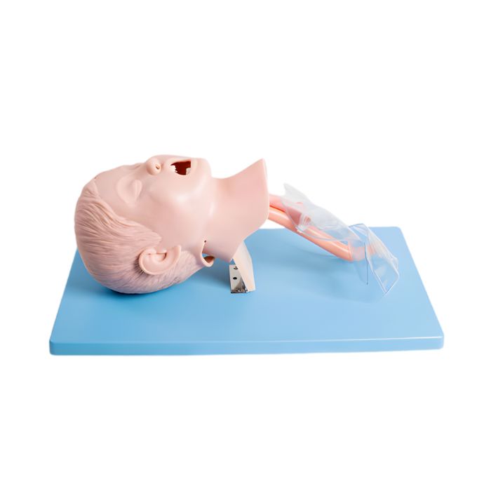 Advanced Child Tracheal Intubation Model
