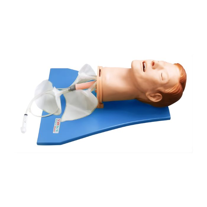 Multi-functional Airway Management Model