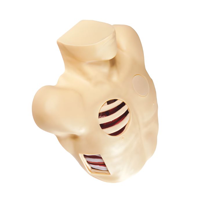 Pleural Drainage Simulator