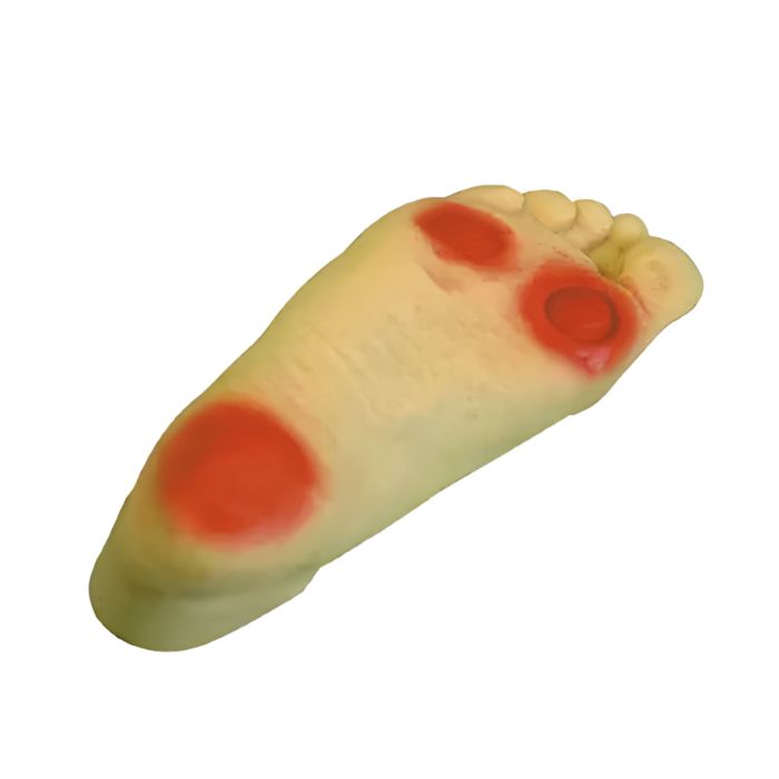 Diabetic Foot Nursing Simulator