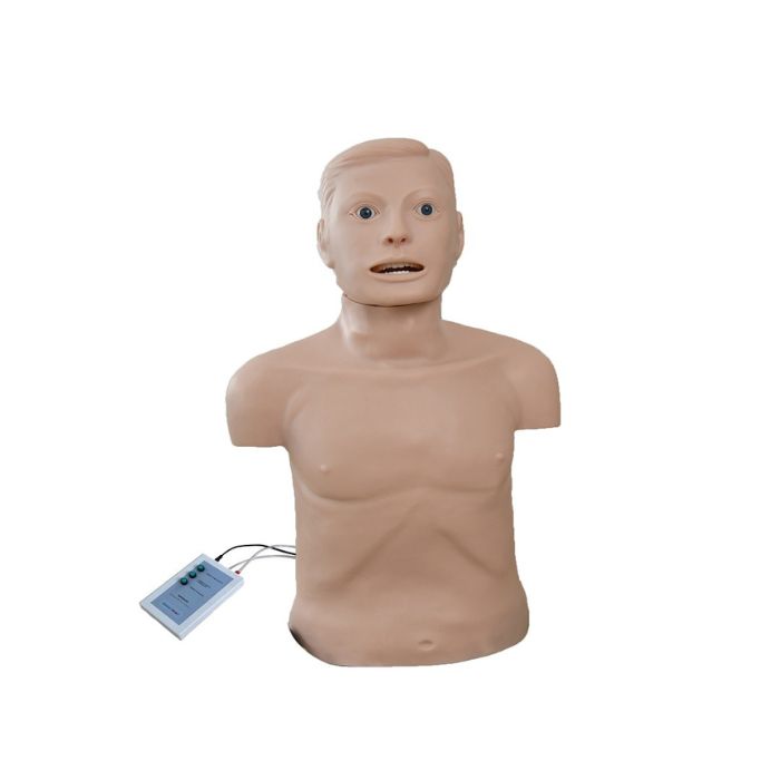 CPR and Intubation Training Manikin (Adult)