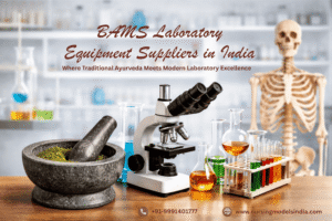 Top BAMS Lab Equipment Suppliers in India (Cost & Requirements)