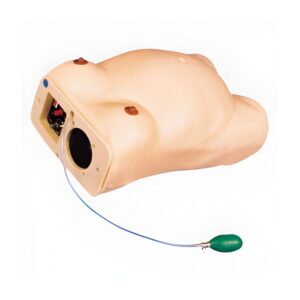 Maternity Examination Simulator