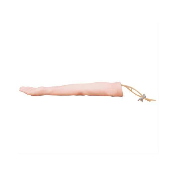 Injectable Training Arm Model (Without Set)