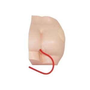 Buttock Injection Model