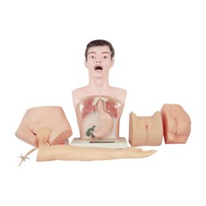 Nurse Basic Practice Teaching Model