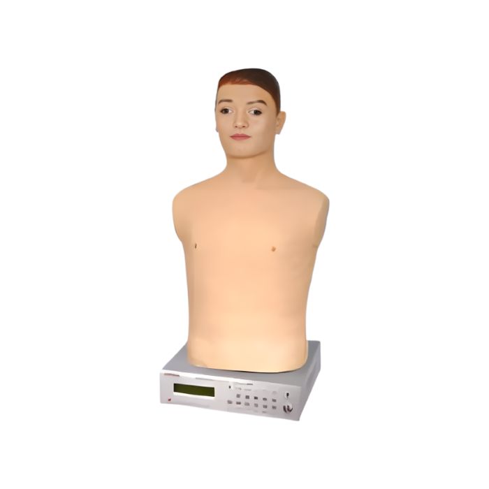 Auscultation Manikins