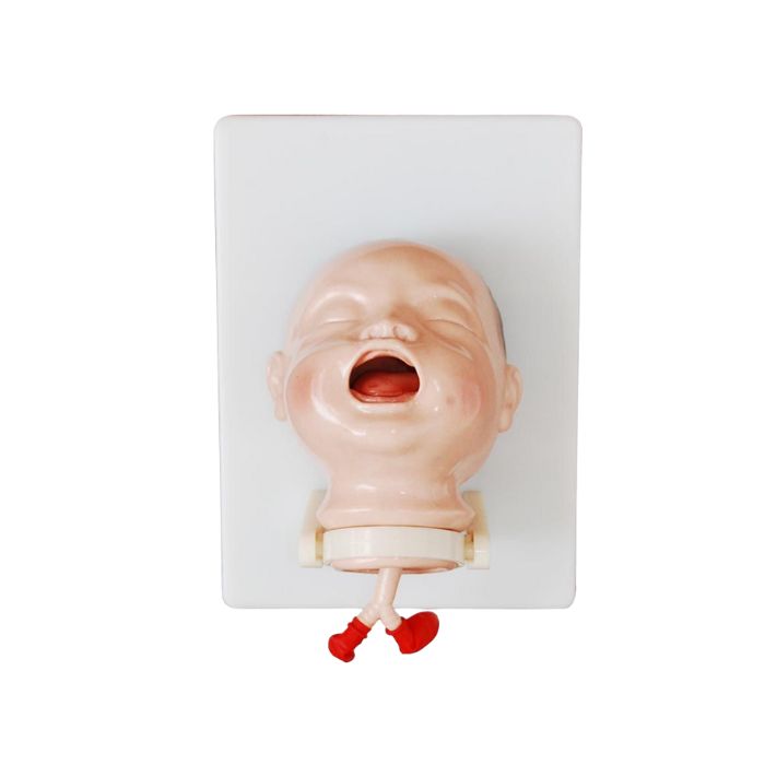 The Model of Newborn Intubation