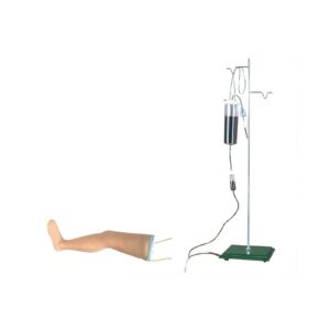 IV Leg