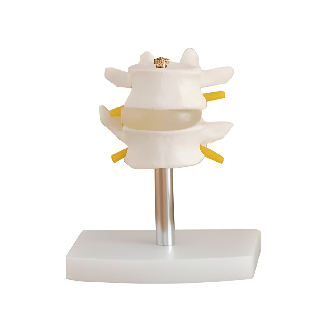 Lumbar Set(2 pcs)