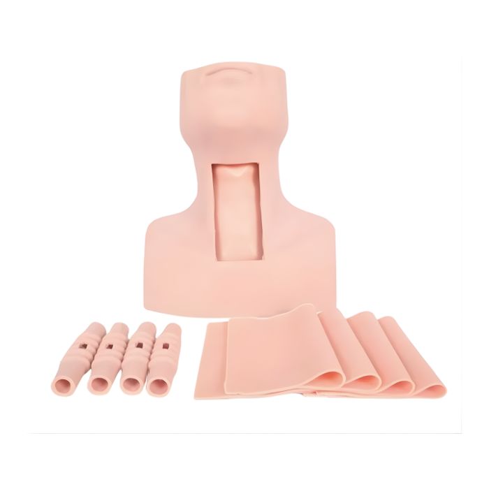 Tracheostomy Simulator