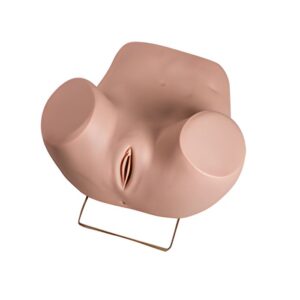 Advanced Gynecological Examination Simulator