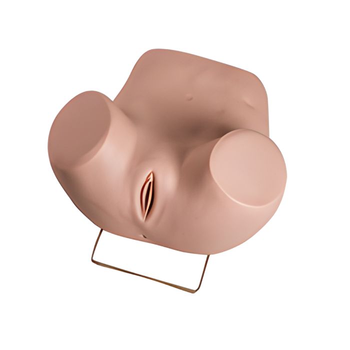 Advanced Gynecological Examination Simulator