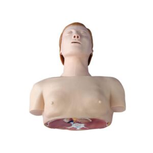 Half Body CPR Training Model (Male)
